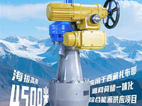 4500米！良固閥門集團(tuán)服務(wù)全球海拔最高的光熱電站